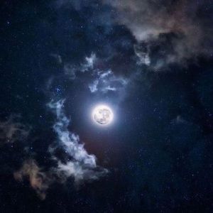 Meet your Posher, Ivan